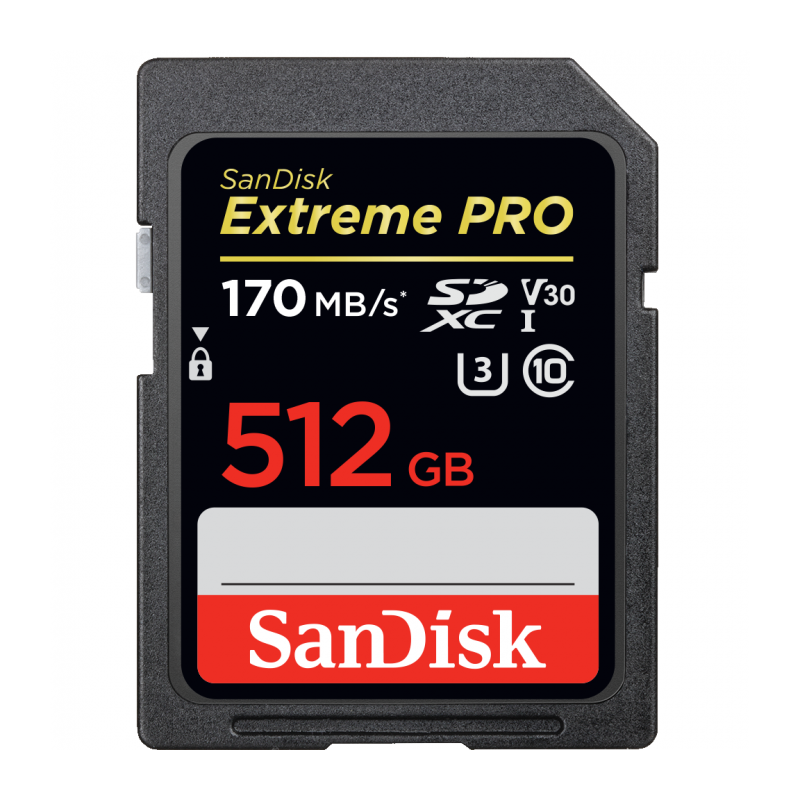 Карта памяти SanDisk Extreme Pro SDXC UHS-I Class 3 V30 170/90 MB/s 512GB SDSDXXY-512G-GN4IN