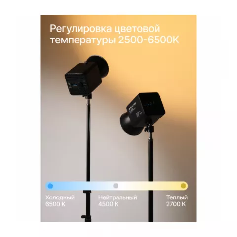 Raylab RL-100BI 2700-6500K 100W 5000mAh Осветитель светодиодный c аксессуарами