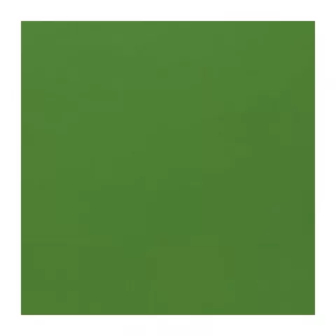 ПРОФЕССИОНАЛ Фото фон 2,8 x 6,0 m зеленый