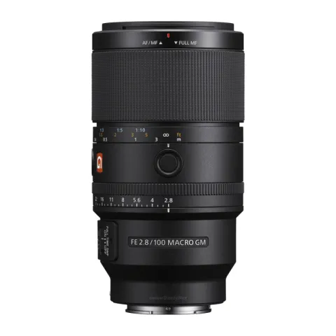 Sony FE 100mm f/2.8 Macro GM Lens