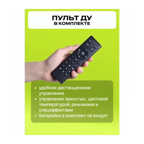 Raylab RL-300PRO 2700-6500K Осветитель светодиодный с пультом