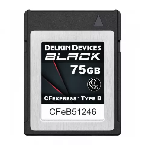 Delkin Devices Black CFexpress Type B 75Gb [DCFXBBLK75]