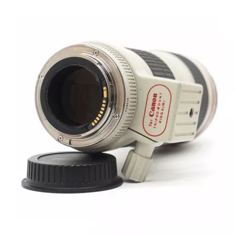 Canon EF 70-200mm f/4L USM (Б/У) 