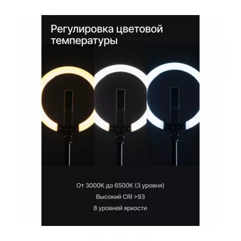 Светодиодный осветитель кольцевой Raylab RL-0210