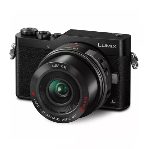 Цифровая фотокамера Panasonic Lumix DC-GX800 Kit 12-32 мм (H-FS12032) черный