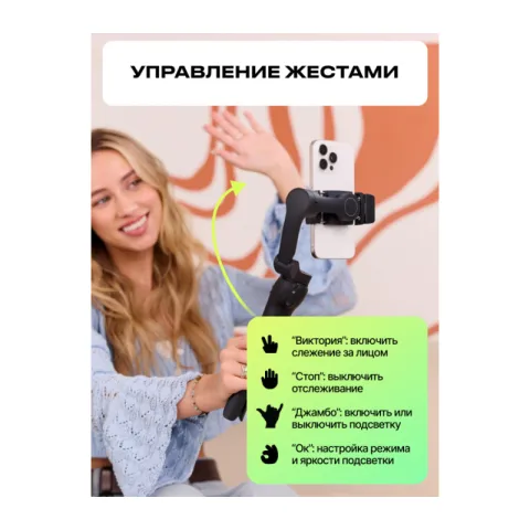 Raylab RL-PG1 Электронный стабилизатор для смартфона