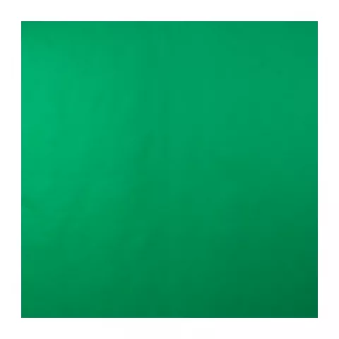 Фотофон Lumifor LBGN-2050 Green, 200х500см, Нетканый, цвет зеленый