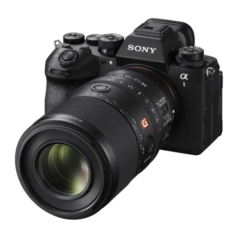 Sony FE 100mm f/2.8 Macro GM Lens