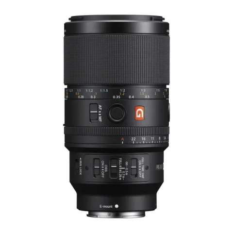 Sony FE 100mm f/2.8 Macro GM Lens