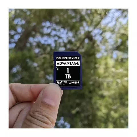 Delkin Devices Advantage SDXC 1TB UHS-I V30 180/160MB/s (DSAV31T)