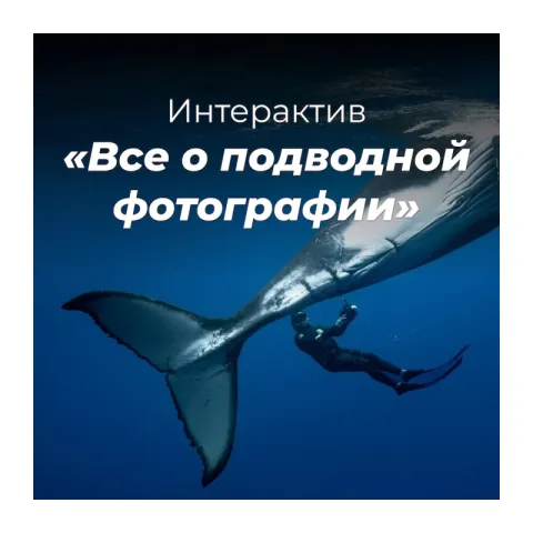 Интерактив «Все о подводной фотографии» с Сабиной Актериной