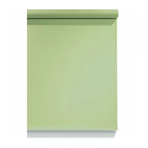 E-Image 13 Tropical green Background paper Фон бумажный, св.зеленый 2,72 х 10,0 метров