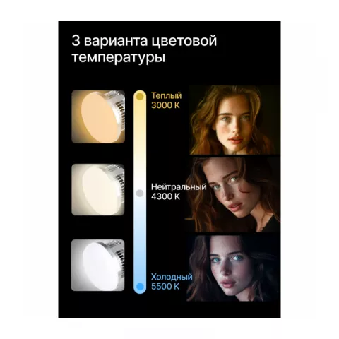 Raylab D-Light 1 Комплект постоянного света светодиодный