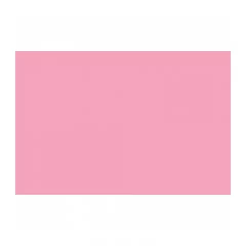 E-Image 17 Carnation pink Background paper Фон бумажный, розовая гвоздика 2,72 х 10,0 метров