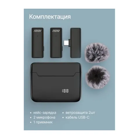 Микрофон Raylab RL-WM13 беспроводной петличный для Type-C
