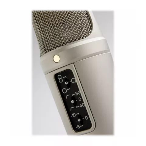 Конденсаторный микрофон Rode NT2-A студийный