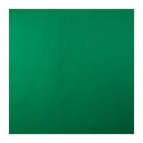 Фотофон Lumifor LBGN-1520 Green, 150х200см, Нетканый, цвет зеленый