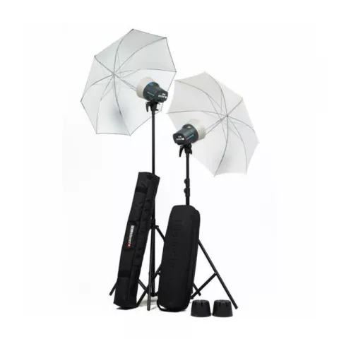 Комплект импульсного света Elinchrom D-Lite RX ONE Umbrella Set