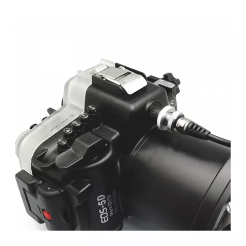 Sea Frogs 5D Mark IV с портом WDP 155/106 подводный бокс для Canon 5D Mark IV