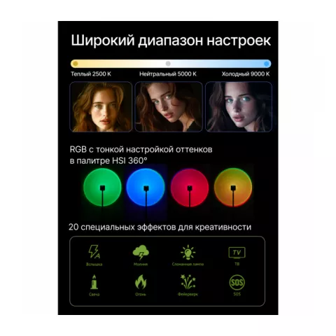Raylab RL-LED06-S 2500-9000K 2000mAh Осветитель светодиодный