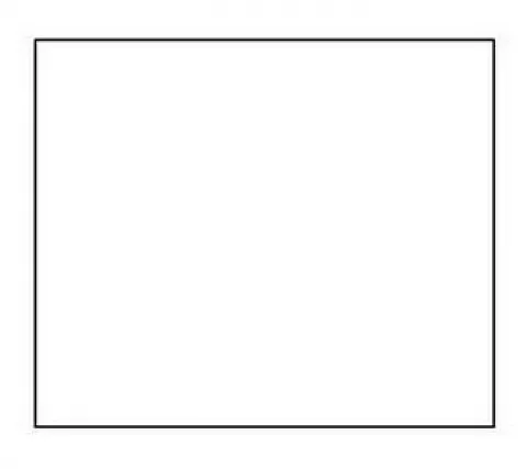 RAYLAB RBGD-2729-WHITE белый фон