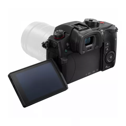 Цифровая фотокамера Panasonic Lumix DC-GH5S Kit 12-60mm f/3.5-5.6 Lumix G Vario O.I.S. ASPH Micro 4/3