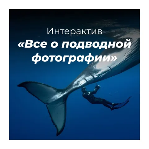Интерактив «Все о подводной фотографии» с Сабиной Актериной Интерактив «Все о подводной фотографии» с Сабиной Актериной