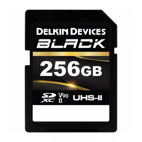 Карта памяти Delkin Devices Black Rugged SDXC 256GB UHS-II V90 R/W 300/250MB/s [DSDBV90256BX]