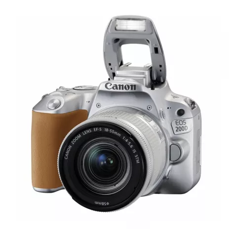 Зеркальный фотоаппарат Canon EOS 200D Kit EF-S 18-55mm f/4-5.6 IS STM серебристый