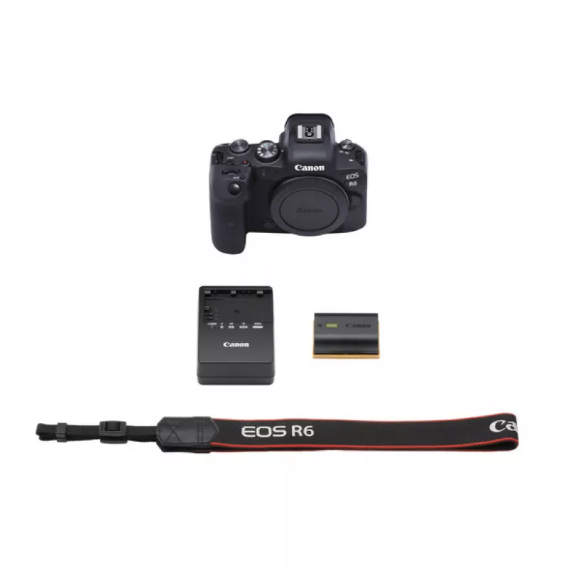 Цифровая фотокамера Canon EOS R6 Body