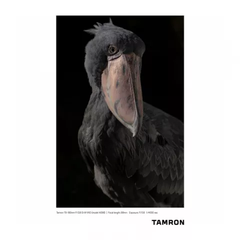 Объектив Tamron A056 70-180mm Di III VXD F/2.8 Sony E