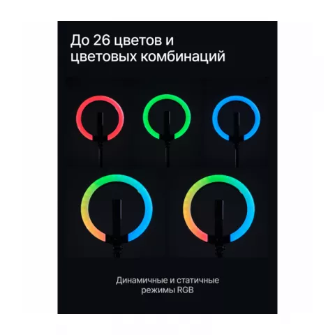 Светодиодный осветитель кольцевой Raylab RL-0210