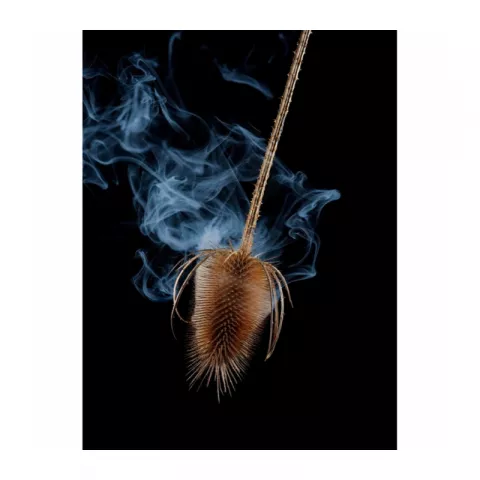 Генератор дыма Falcon Eyes Smoke 30