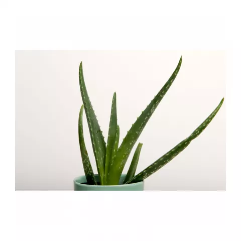 E-Image 28 Snow Background paper Фон бумажный, белый 2,72 х 10,0 метров