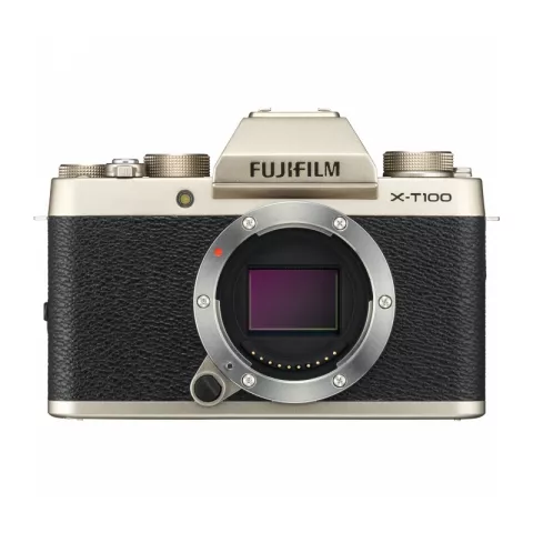 Цифровая фотокамера Fujifilm X-T100 Body Champagne Gold