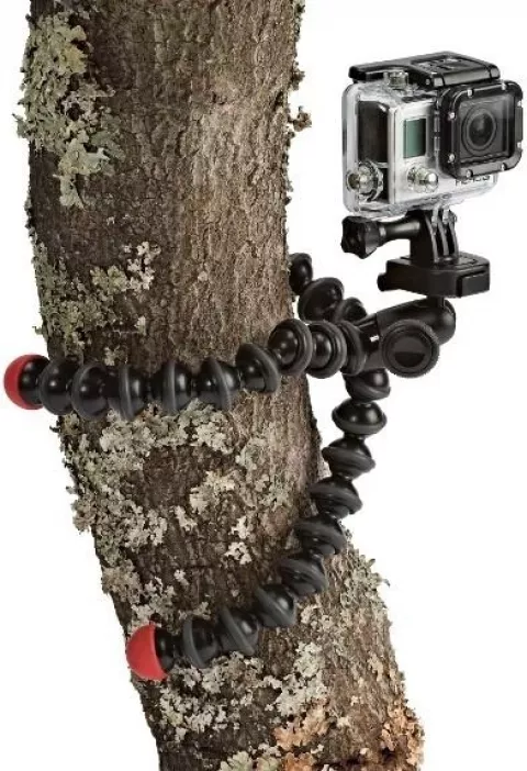 Штатив JOBY GorillaPod Action Tripod with Mount for GoPro (черный/красный)