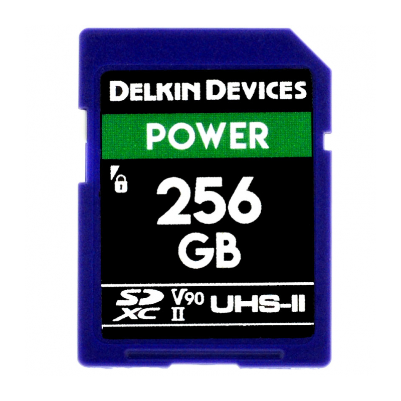 Карта памяти Delkin Devices Power SDXC 256GB 2000X UHS-II Class 10 [DDSDG2000256]