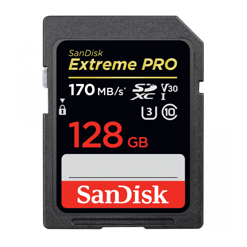 Карта памяти SanDisk Extreme Pro SDXC UHS-I Class 3 V30 170/90 MB/s 128GB SDSDXXY-128G-GN4IN