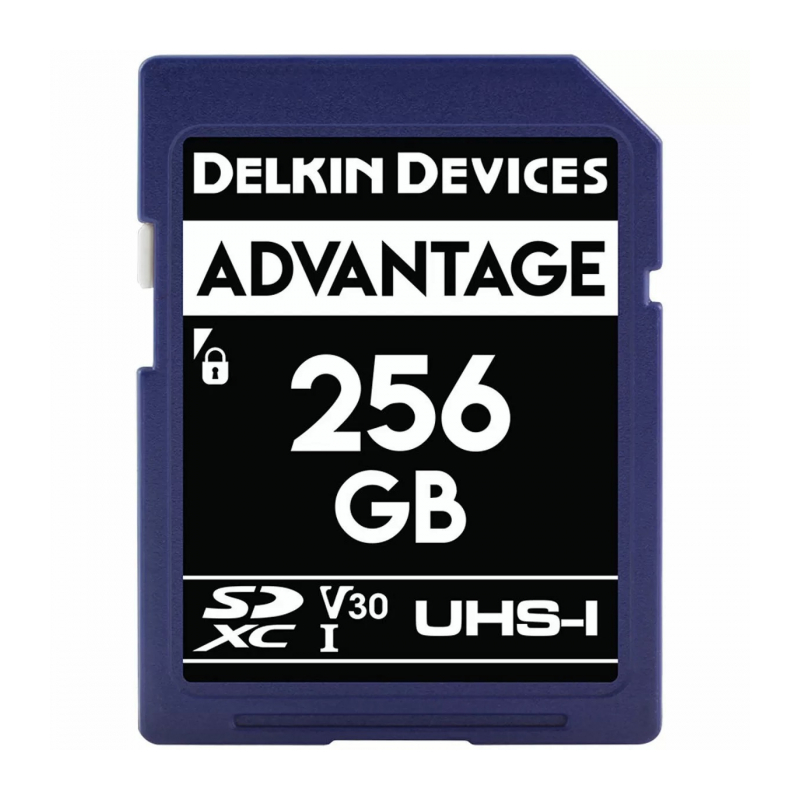 Delkin Devices Advantage SDXC 256GB UHS-I Class 10 V30 (DSAV3256)	
