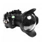 Подводный бокс Sea Frogs EOS R5 WDP155/106 Type-1 для Canon EOS R5